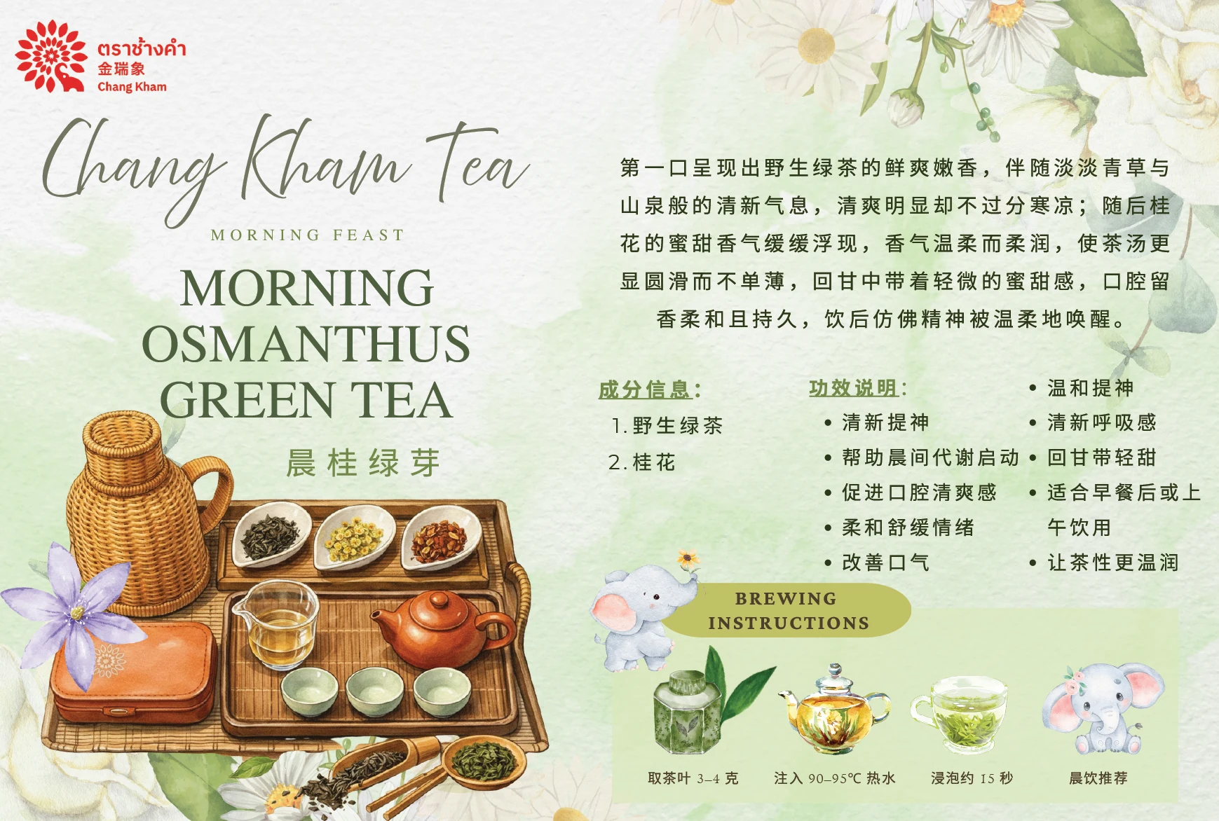 晨桂绿芽